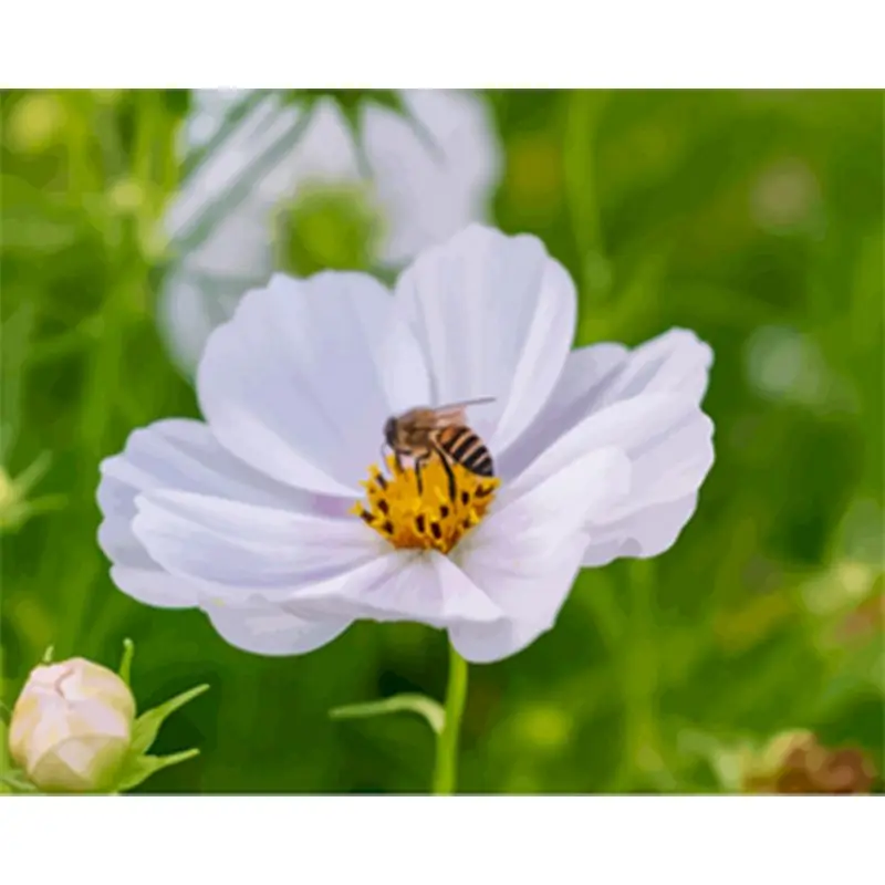 Bee Does Flowers DIY Painting By Numbers Flowers Canvas Pictures Oil Painting For Living Room Wall Art Home Design Decor Gift
Bee Does Flowers DIY Painting By Numbers Flowers Canvas Pictures Oil Painting For Living Room Wall Art Home Design Decor Gift