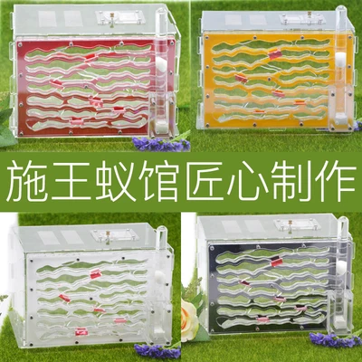 Splicing Acrylic Stereo Moisturizing Entity Nest Layered Water Tower Large Ant Feeding
Splicing Acrylic Stereo Moisturizing Entity Nest Layered Water Tower Large Ant Feeding