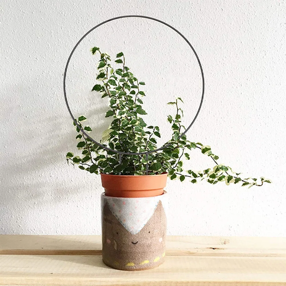Garden Trellis Climbing Plant Support Stake Love Heart-Shaped Round Shape Stand Frame Vine Rack For Plants Flowers Vegetables
Garden Trellis Climbing Plant Support Stake Love Heart-Shaped Round Shape Stand Frame Vine Rack For Plants Flowers Vegetables
