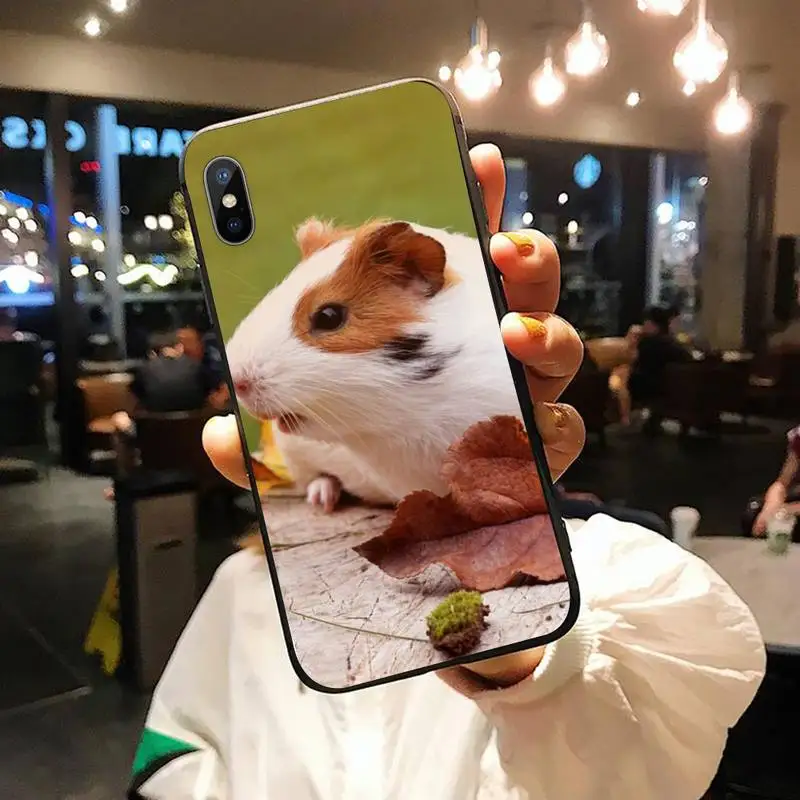 Guinea Pig cute animal Phone Cases for iPhone 11 12 pro XS MAX 8 7 6 6S Plus X 5S SE 2020 XR
Guinea Pig cute animal Phone Cases for iPhone 11 12 pro XS MAX 8 7 6 6S Plus X 5S SE 2020 XR