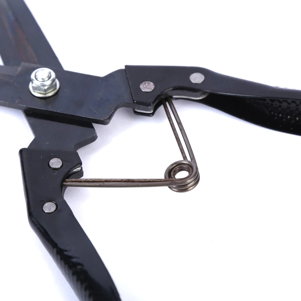 1PC Sheep Goat Lamb Wool Blade Scissor Trimmer Cow Horse Rabbit Pet Fur Cut Shears Leather Tailoring Scissors Farm Animal Tool
1PC Sheep Goat Lamb Wool Blade Scissor Trimmer Cow Horse Rabbit Pet Fur Cut Shears Leather Tailoring Scissors Farm Animal Tool