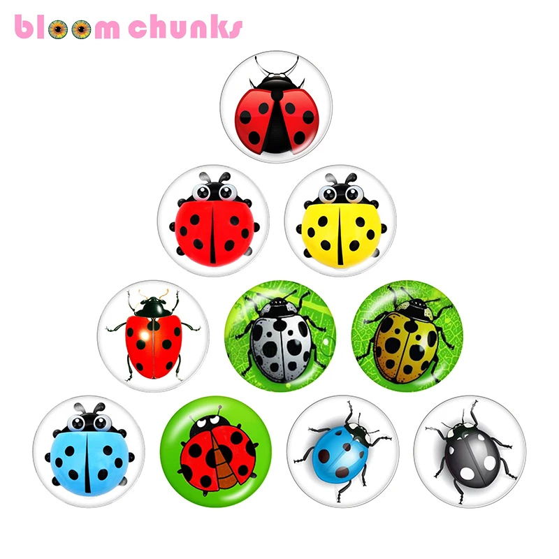 ladybug beetle 12mm/18mm/20mm/25mm Round glass cabochon flat back Making snap button jewelry S2690
ladybug beetle 12mm/18mm/20mm/25mm Round glass cabochon flat back Making snap button jewelry S2690