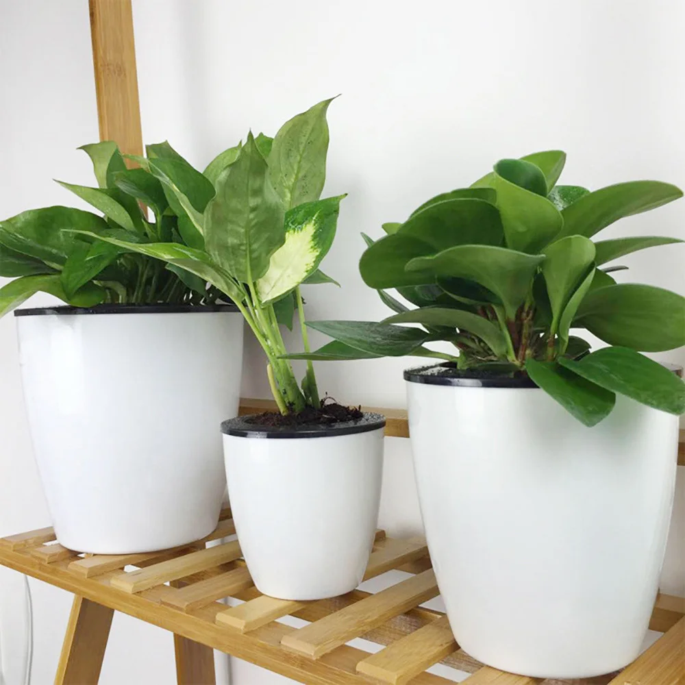 Flower Pot Plant Auto Self-Absorbing Planter Home Garden Decor Planting Tools For Outdoor Indoor Plants Ferns Succulents
Flower Pot Plant Auto Self-Absorbing Planter Home Garden Decor Planting Tools For Outdoor Indoor Plants Ferns Succulents