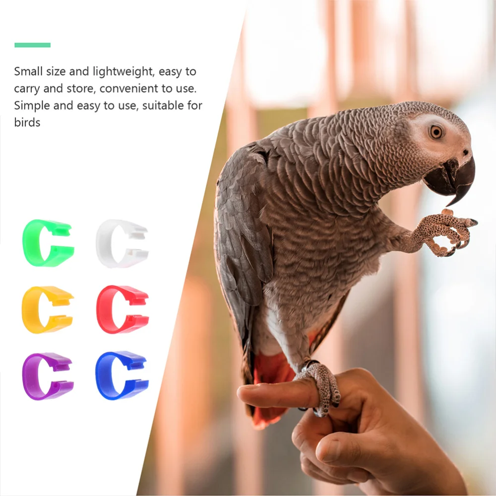 100pcs Foot Ring Bands Bird Clip on Leg Rings for Pigeon Dove Chicks Bantam
100pcs Foot Ring Bands Bird Clip on Leg Rings for Pigeon Dove Chicks Bantam