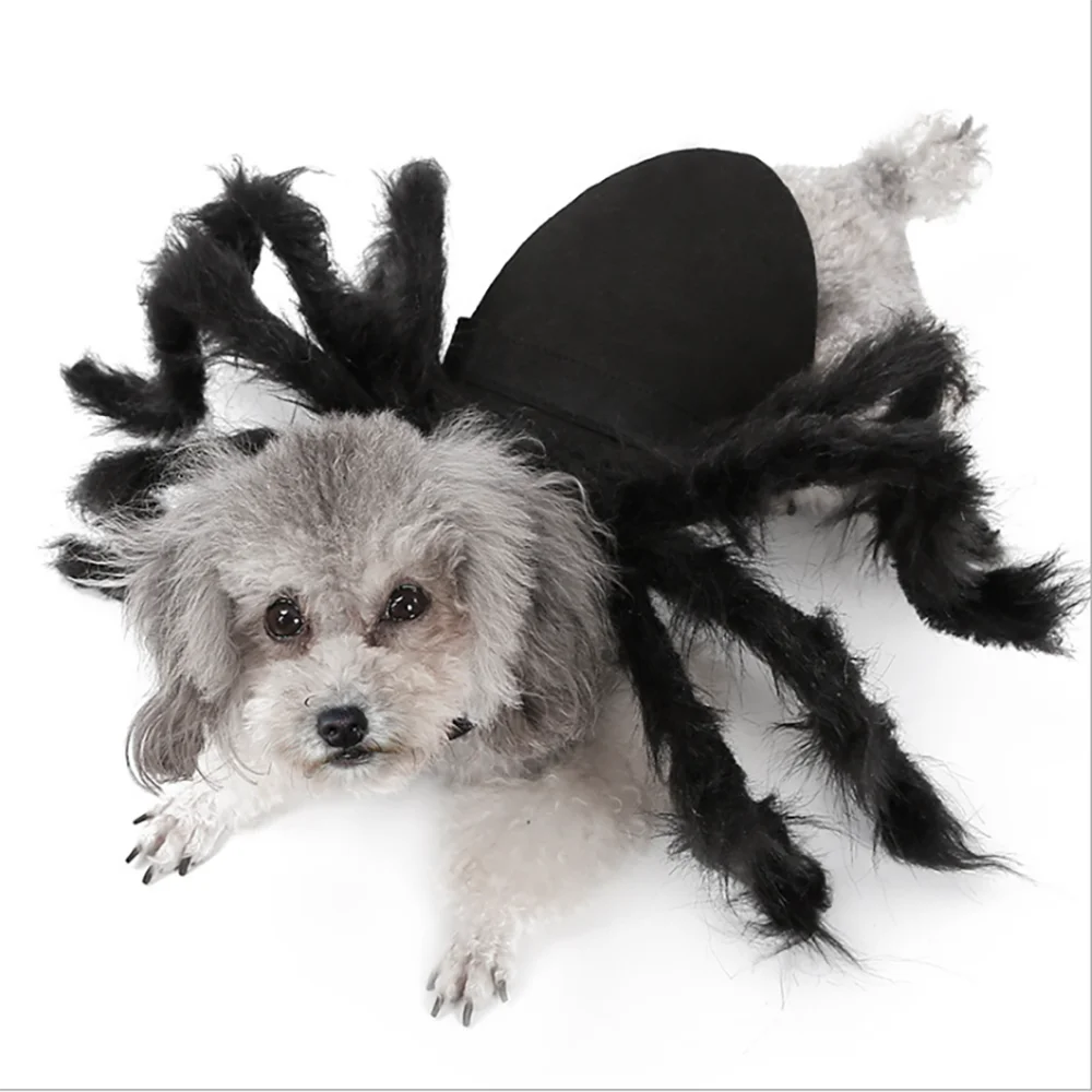Pet Dog Cat Halloween Suit Costume Spider Clothes Costumes Dress Party Decoration Accessories For Small Medium Pet Dogs Cats
Pet Dog Cat Halloween Suit Costume Spider Clothes Costumes Dress Party Decoration Accessories For Small Medium Pet Dogs Cats