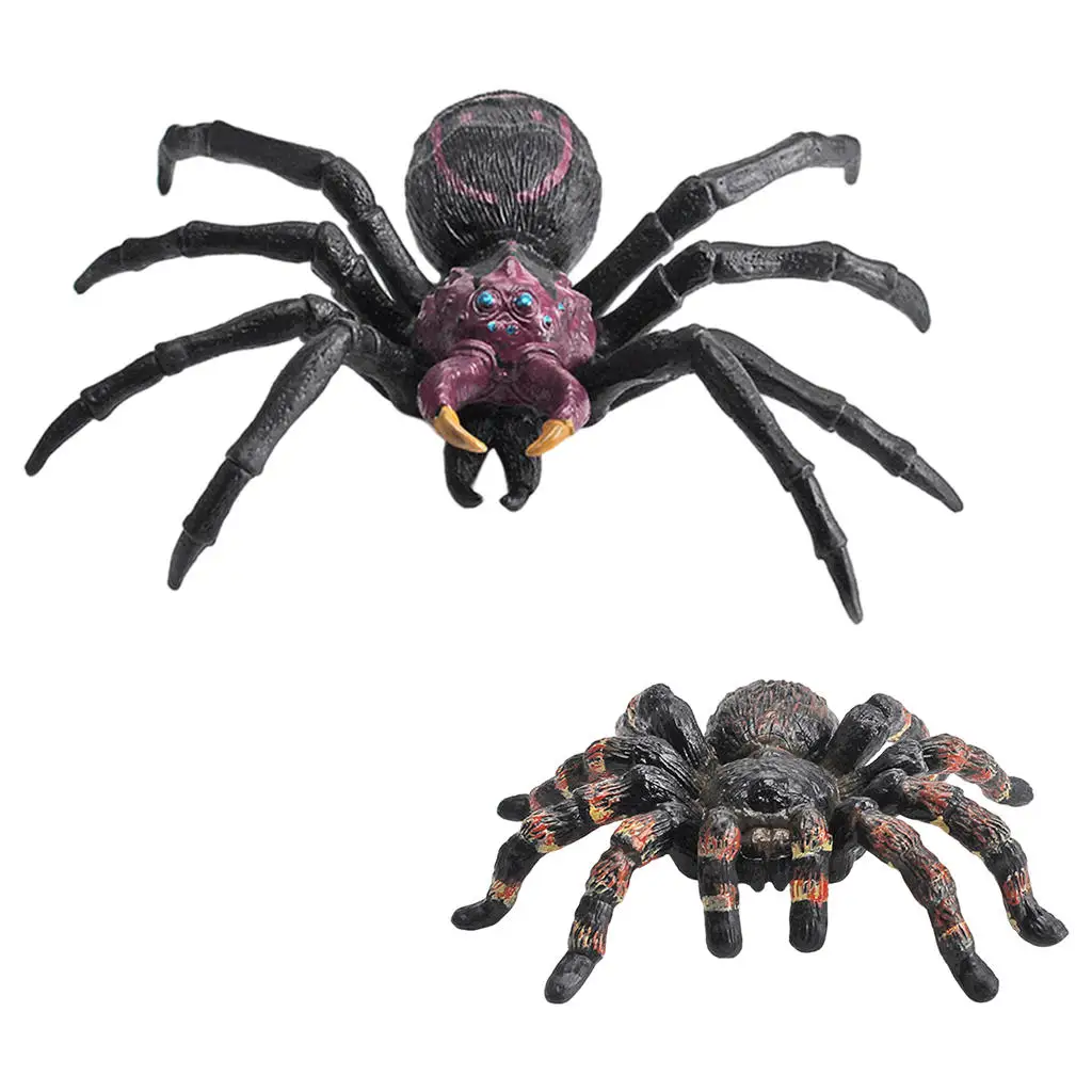 PVC Spider Figures Play Figure Gag Toys Preschool Toy Playsets Novelty Learning Animal Figure Spider Toy for Birthday Halloween
PVC Spider Figures Play Figure Gag Toys Preschool Toy Playsets Novelty Learning Animal Figure Spider Toy for Birthday Halloween