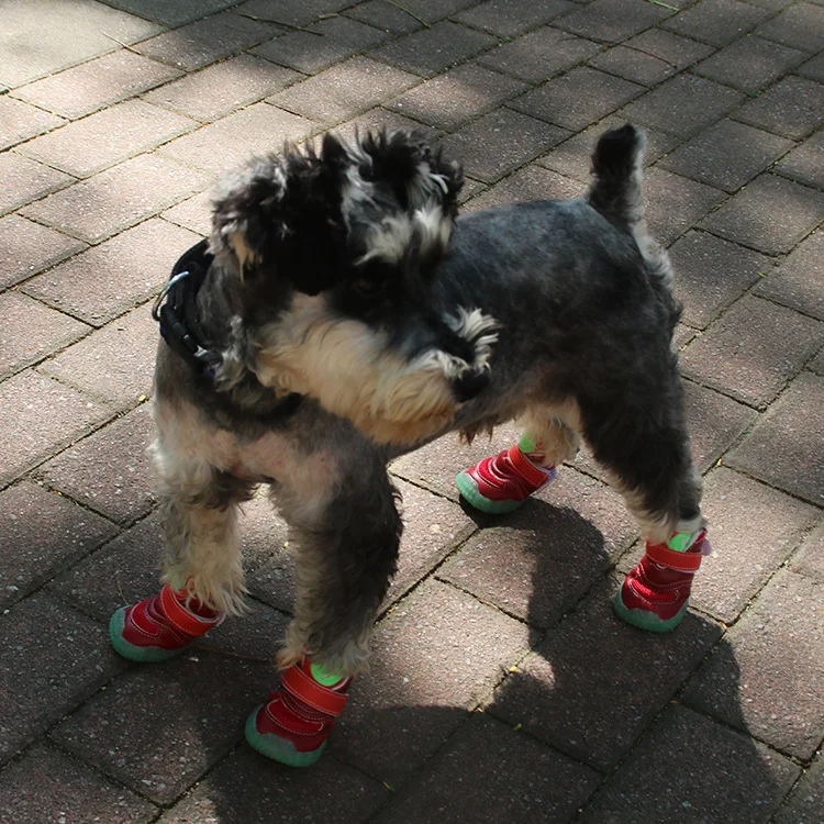 Big Dog Shoe Autumn And Winter Warm Corgi Samoyed Golden Retriever Sled Large Dog Shoes Anti-slip Night Light Pet Shoes
Big Dog Shoe Autumn And Winter Warm Corgi Samoyed Golden Retriever Sled Large Dog Shoes Anti-slip Night Light Pet Shoes
