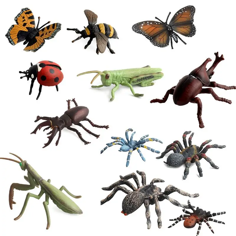 12Pcs/Lot Insect Models Figurines Kid Cognitive Animal Toys Early Education Toys for Boys Girls
12Pcs/Lot Insect Models Figurines Kid Cognitive Animal Toys Early Education Toys for Boys Girls