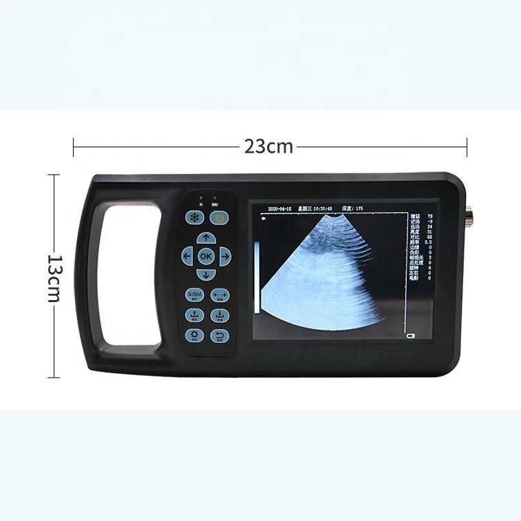 Veterinary inspection tool large HD screen display color Doppler pig sheep goat ultrasound machine pig B ultrasound scanner
Veterinary inspection tool large HD screen display color Doppler pig sheep goat ultrasound machine pig B ultrasound scanner