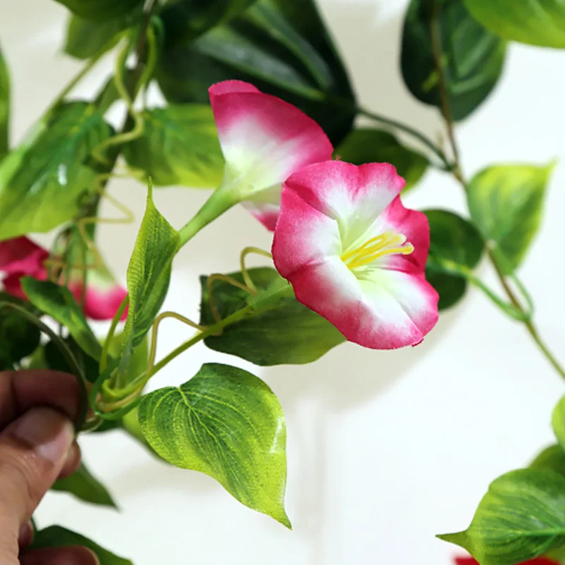 Artificial Morning glory rattan Vine Simulation Leaves Flowers Ivy Vine Home Party Decor Garland
Artificial Morning glory rattan Vine Simulation Leaves Flowers Ivy Vine Home Party Decor Garland