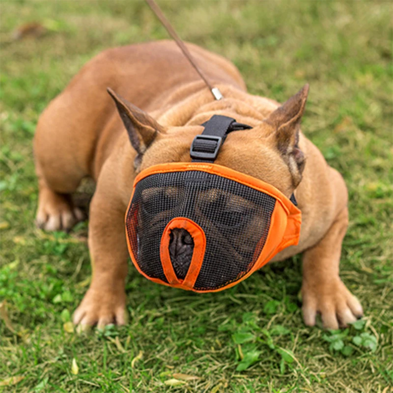 Breathable Mesh Short Snout Pet Dog Muzzle Adjustable French Bulldog Pug Mouth Muzzle Mask Anti Bark Bite Chew Muzzles For Dogs
Breathable Mesh Short Snout Pet Dog Muzzle Adjustable French Bulldog Pug Mouth Muzzle Mask Anti Bark Bite Chew Muzzles For Dogs