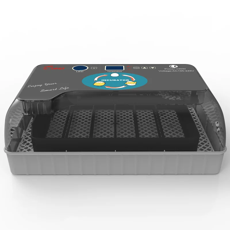 HHD горячий автоматический инкубатор 4-35 цыпленок яйцо большой емкости инкубатор цифровой контроль температуры высокое качество инкубатор м... 
HHD горячий автоматический инкубатор 4-35 цыпленок яйцо большой емкости инкубатор цифровой контроль температуры высокое качество инкубатор м...