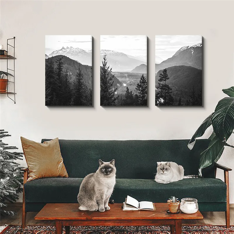 Framed Black White Forest Fimber Decoraiton Wall Art Home Decor for Living Room Ready To Hang Landscape Modern Canvas Painting
Framed Black White Forest Fimber Decoraiton Wall Art Home Decor for Living Room Ready To Hang Landscape Modern Canvas Painting