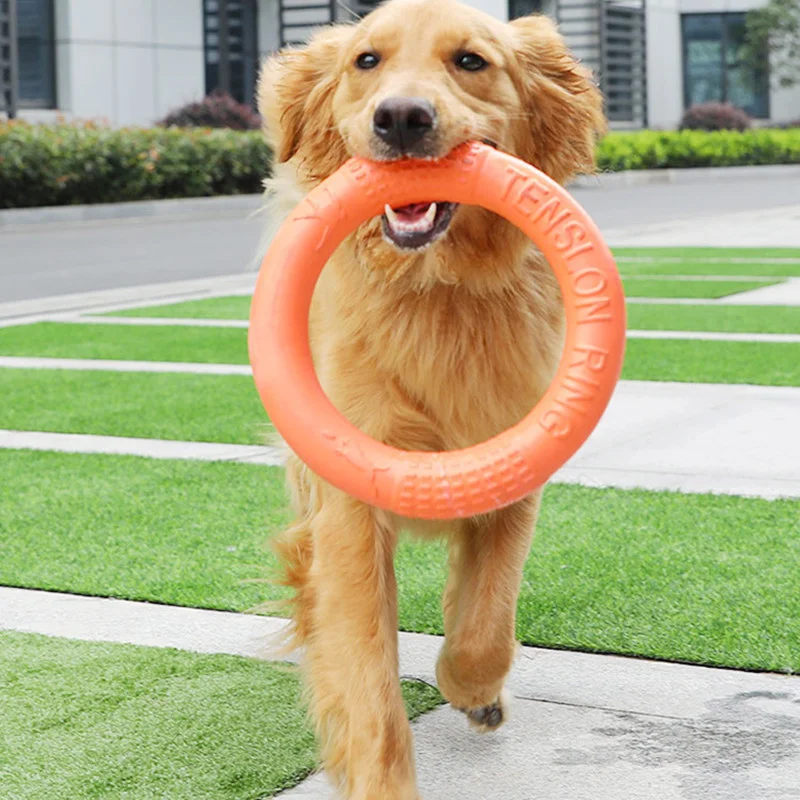 Dog Accessories Pet Flying Discs EVA Dog Training Ring Puller Resistant Bite Floating Toy Puppy Outdoor Interactive Game Playing
Dog Accessories Pet Flying Discs EVA Dog Training Ring Puller Resistant Bite Floating Toy Puppy Outdoor Interactive Game Playing