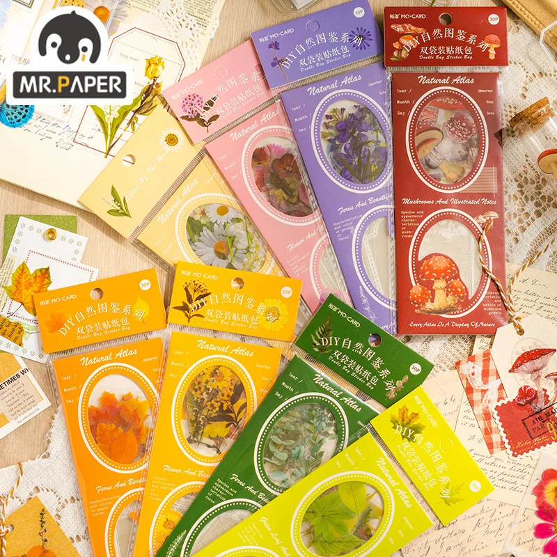 Mr.Paper 8 Design Momo Nature Book Series PET Sticker Pack DIY Creative Decorative Collage Material Sticker Pack
Mr.Paper 8 Design Momo Nature Book Series PET Sticker Pack DIY Creative Decorative Collage Material Sticker Pack