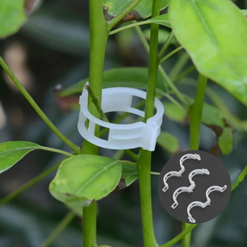 50/100pcs 25mm Vegetables Tomatoes Clips Plastic Plant Support Clips for Plants Hanging Vine Garden Greenhouse Reusable Clamps
50/100pcs 25mm Vegetables Tomatoes Clips Plastic Plant Support Clips for Plants Hanging Vine Garden Greenhouse Reusable Clamps