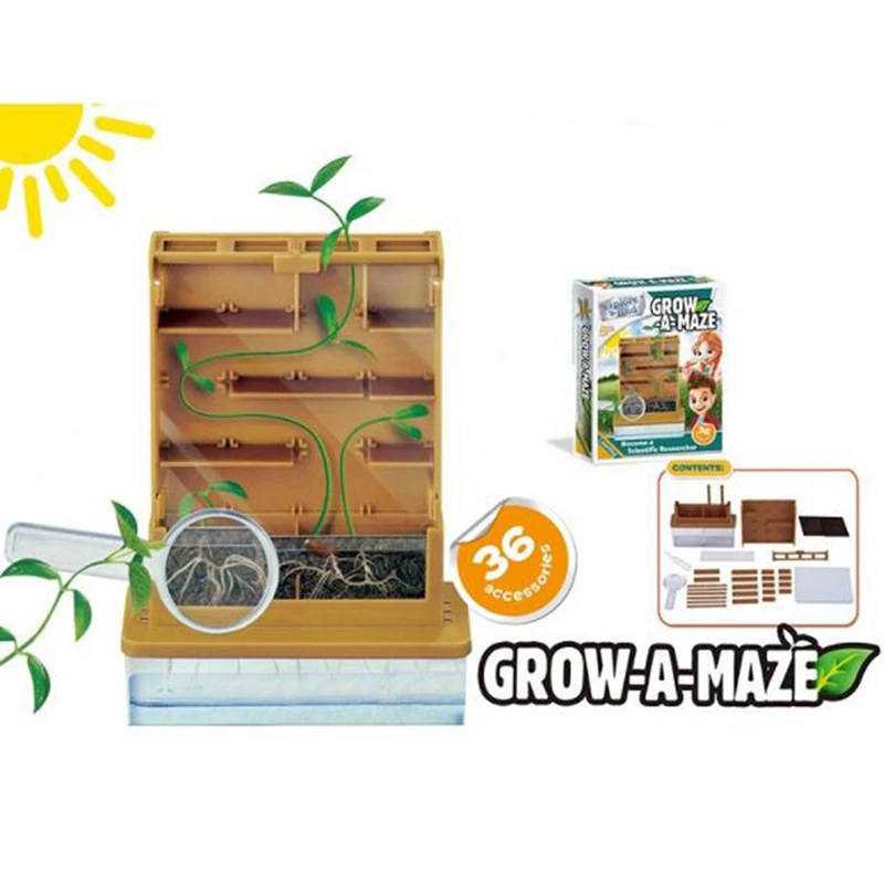 Kids Observe Plant Growth In Photosynthesis Science Looking for During Education 2022 New Year Gifts Montessori Educational Toys
Kids Observe Plant Growth In Photosynthesis Science Looking for During Education 2022 New Year Gifts Montessori Educational Toys