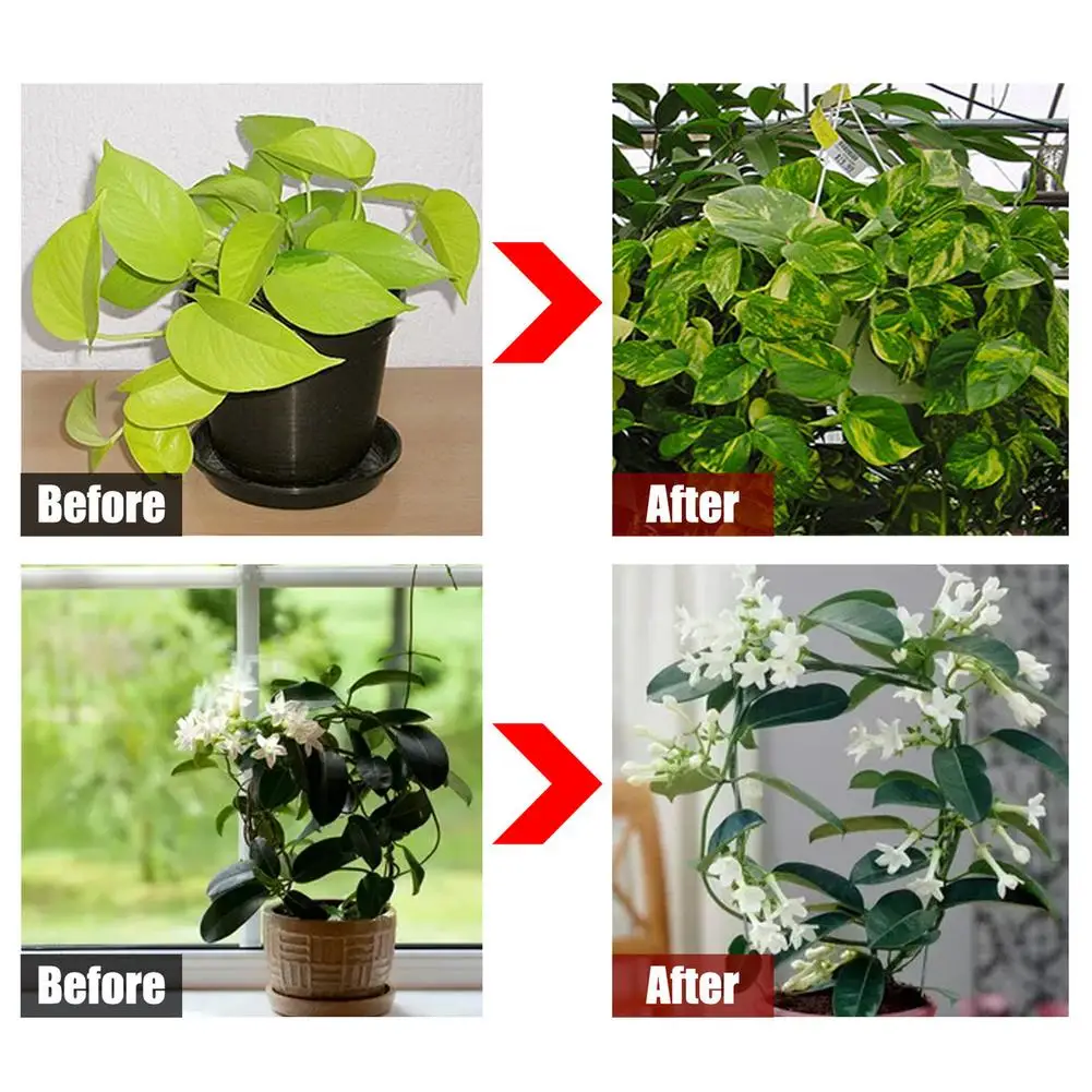 50/100g Rooting Powder Transplanting Plant Rapid Growth Root Rapid Growth Root Medicinal Amino Acid Powder For Garden Bonsai
50/100g Rooting Powder Transplanting Plant Rapid Growth Root Rapid Growth Root Medicinal Amino Acid Powder For Garden Bonsai