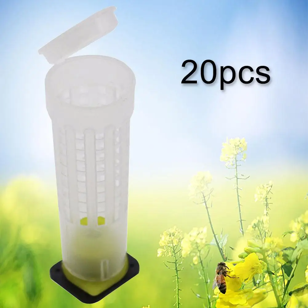 20Pcs Plastic Queen Bee Cage Cell Box Cup Protective Cover Beekeeping Tool Small Size No Smell Beekeeping Equipment
20Pcs Plastic Queen Bee Cage Cell Box Cup Protective Cover Beekeeping Tool Small Size No Smell Beekeeping Equipment
