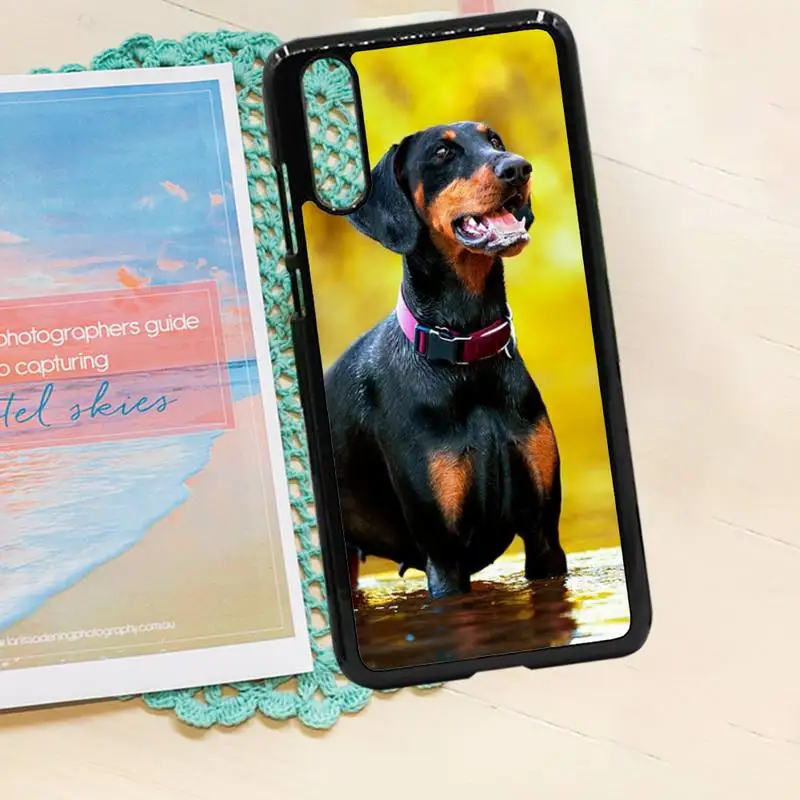 black Dachshund Doberman Dog luxury protective funda phone case PC for iPhone 11 12 pro XS MAX 8 7 6 6S Plus X 5S SE 2020 XR
black Dachshund Doberman Dog luxury protective funda phone case PC for iPhone 11 12 pro XS MAX 8 7 6 6S Plus X 5S SE 2020 XR