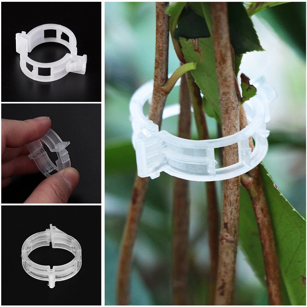 10/50pcs Plastic Plant Clips Supports Connects Reusable Protection Grafting Fixing Tool Gardening Supplies for Vegetable Tomato
10/50pcs Plastic Plant Clips Supports Connects Reusable Protection Grafting Fixing Tool Gardening Supplies for Vegetable Tomato