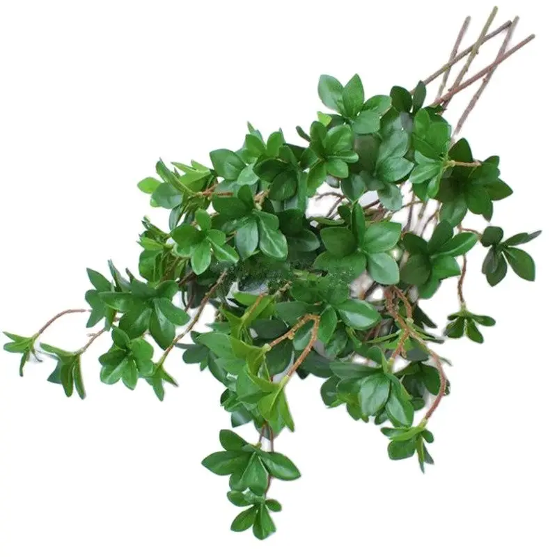 One Fake Aglaia Odorata Branches Artificial Green Odorata Lour Plant Green Azalea Leaf Stem Greenery Plant
One Fake Aglaia Odorata Branches Artificial Green Odorata Lour Plant Green Azalea Leaf Stem Greenery Plant
