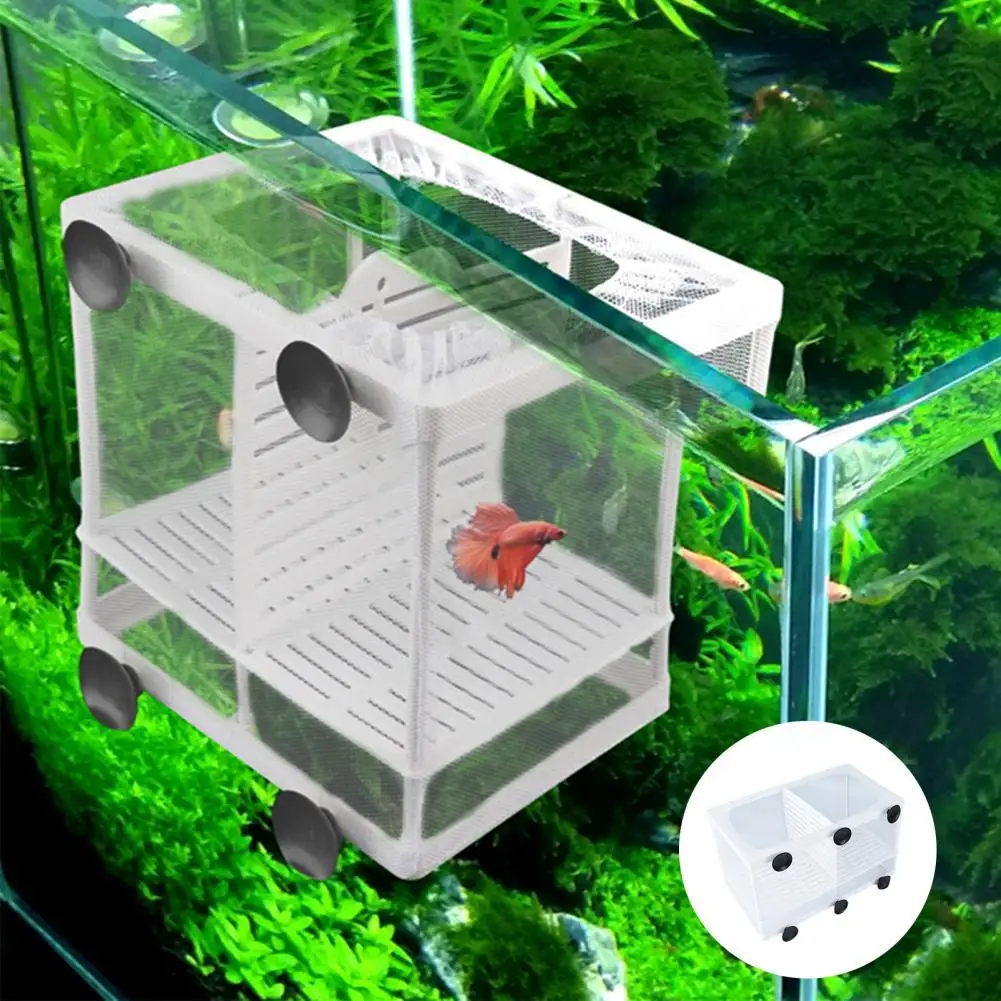 Isolation Net Aquarium Supplies Plastic Fish Tank Breeding Isolation Net for Fish Tank Separation
Isolation Net Aquarium Supplies Plastic Fish Tank Breeding Isolation Net for Fish Tank Separation