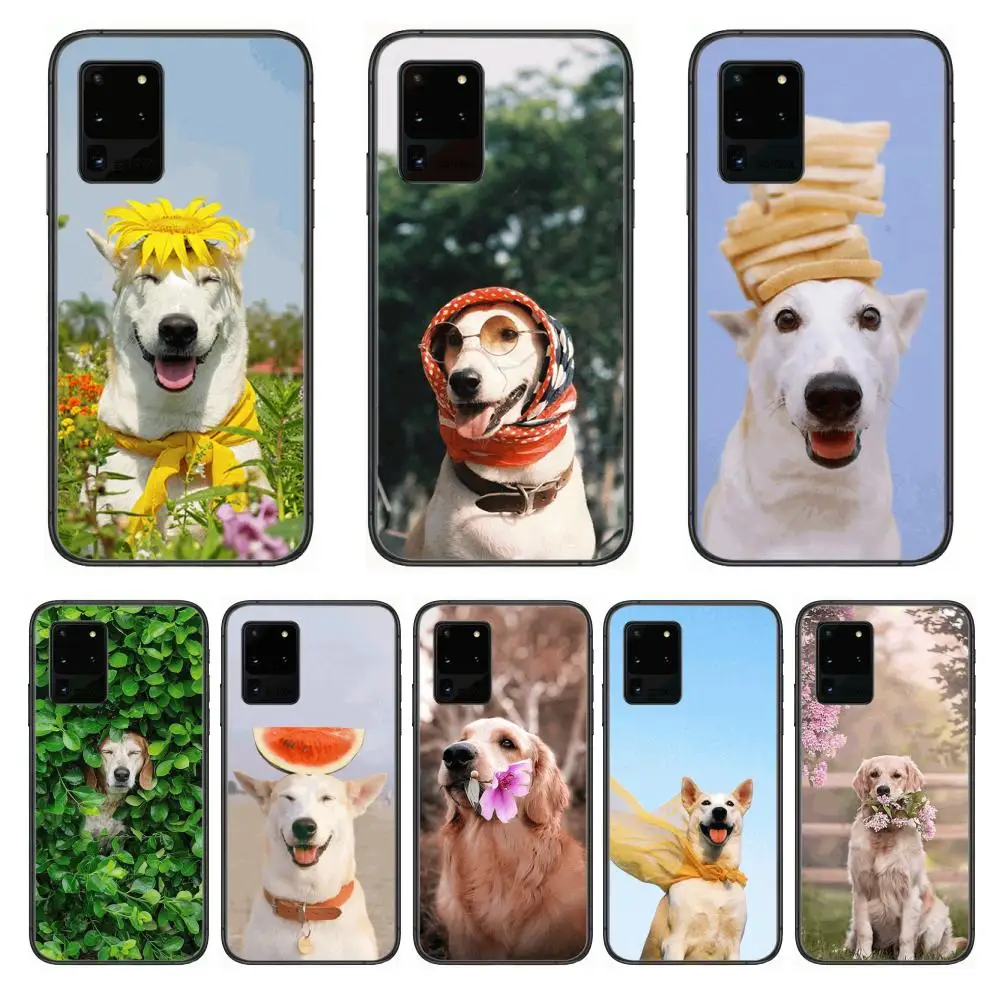 Teddy Bulldog Pomeranian Corgi Golden dog Cool Phone cover hull For SamSung Galaxy S 6 7 8 9 10 20 21 Plus Edge E note 5G Lit
Teddy Bulldog Pomeranian Corgi Golden dog Cool Phone cover hull For SamSung Galaxy S 6 7 8 9 10 20 21 Plus Edge E note 5G Lit