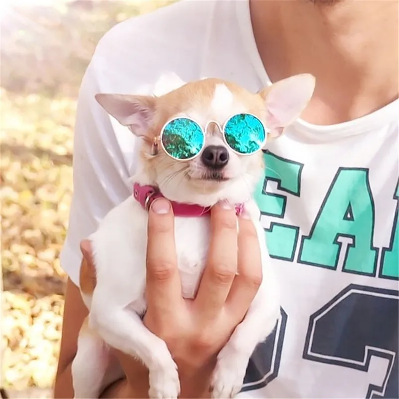Dog Cat Pet Glasses Sunglasses Little Dog Eye-wear Photos Props Dog Cat Accessories Pet Supplies for Pet Products Cat Glasses 
Dog Cat Pet Glasses Sunglasses Little Dog Eye-wear Photos Props Dog Cat Accessories Pet Supplies for Pet Products Cat Glasses