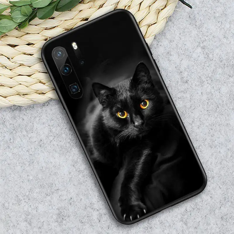 Animal Black Cat Staring Eye On Phone Case For Huawei honor Mate P 10 20 30 40 i 9 8 pro x Lite smart 2019 nova 5t 
Animal Black Cat Staring Eye On Phone Case For Huawei honor Mate P 10 20 30 40 i 9 8 pro x Lite smart 2019 nova 5t