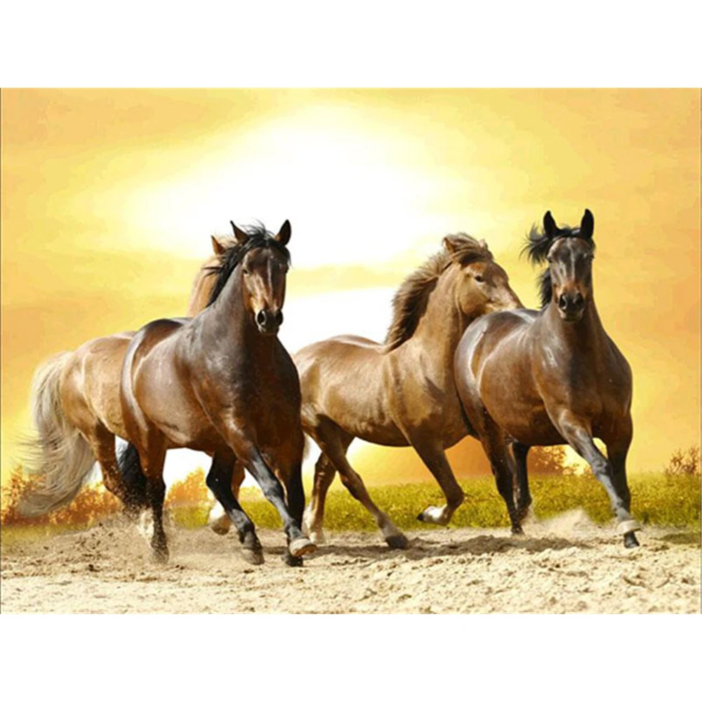 Animal Horse Flower DIY 3D Full Diamond Embroidery Diamond Mosaic Diamond Painting Complete Kit Christmas Gift Needlework
Animal Horse Flower DIY 3D Full Diamond Embroidery Diamond Mosaic Diamond Painting Complete Kit Christmas Gift Needlework