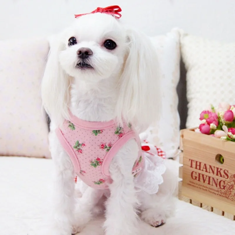 Dog Clothes Pets Clothing Dog Dress Chihuahua Wedding Dress Skirt Puppy Clothing Spring Dresses for Dogs Jean Pet Clothes
Dog Clothes Pets Clothing Dog Dress Chihuahua Wedding Dress Skirt Puppy Clothing Spring Dresses for Dogs Jean Pet Clothes