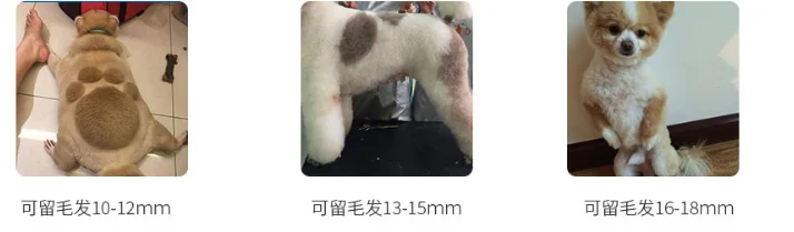 Factory direct sales of new pet dog electric hair clipper animal hair clipper Teddy hair shaver products 
Factory direct sales of new pet dog electric hair clipper animal hair clipper Teddy hair shaver products