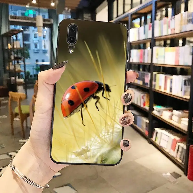 Maple leaves insect ladybug high quality Phone Case For Huawei honor Mate P 10 20 30 40 Pro 10i 9 10 20 8 x Lite
Maple leaves insect ladybug high quality Phone Case For Huawei honor Mate P 10 20 30 40 Pro 10i 9 10 20 8 x Lite