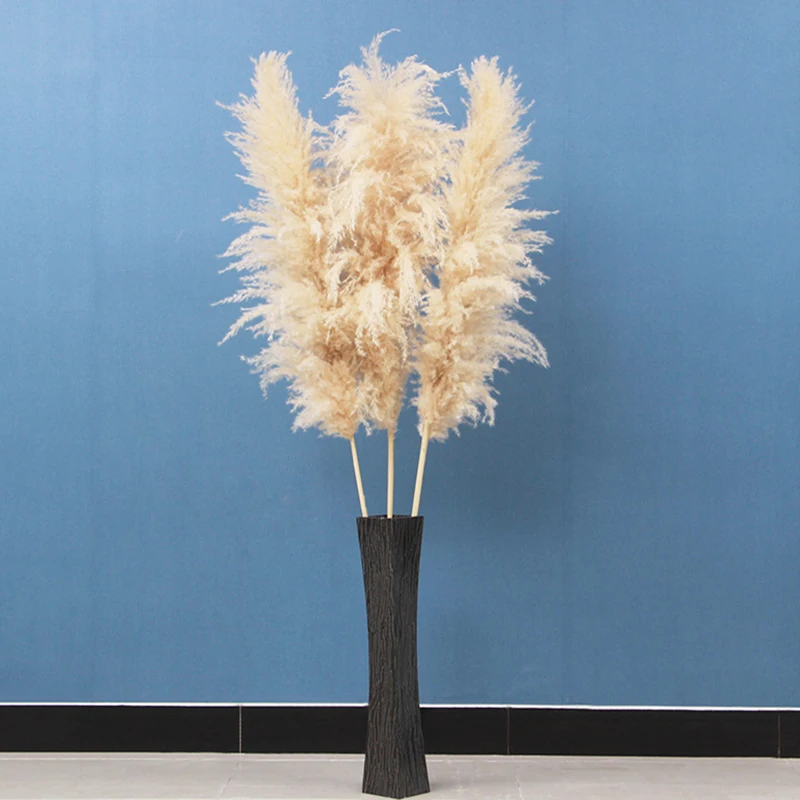 White Natural Reed Dried Flower Big Pampas Grass Bouquet Wedding Flower Ceremony Decoration Modern Home Decoration Fall Decor
White Natural Reed Dried Flower Big Pampas Grass Bouquet Wedding Flower Ceremony Decoration Modern Home Decoration Fall Decor