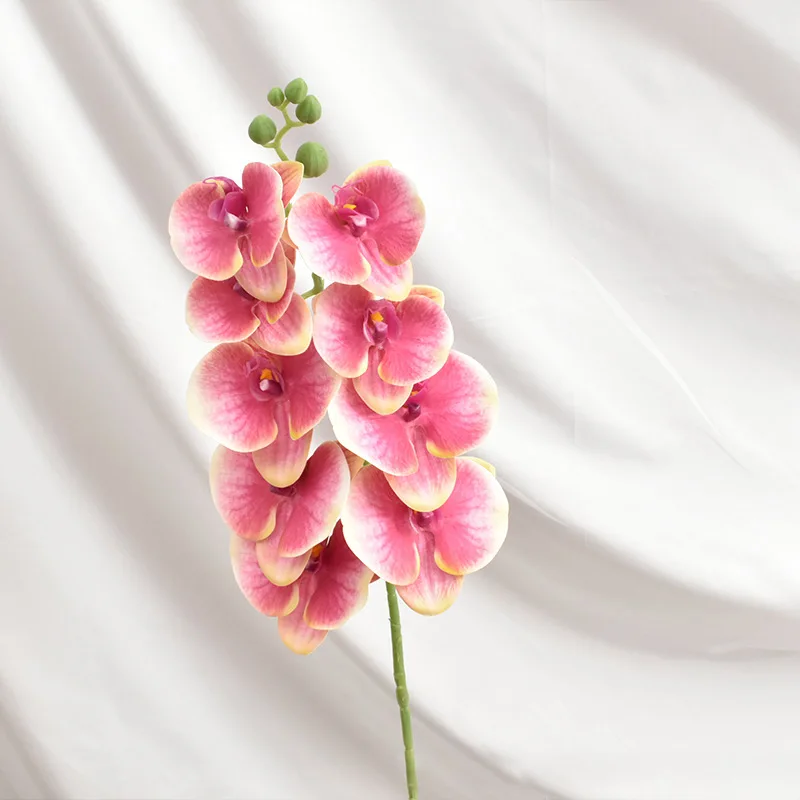 1pc 9 Head Real Touch Orchid Home Wedding Decoration Flower Long Stem PU 3D Printing Artificial Phalaenopsis
1pc 9 Head Real Touch Orchid Home Wedding Decoration Flower Long Stem PU 3D Printing Artificial Phalaenopsis