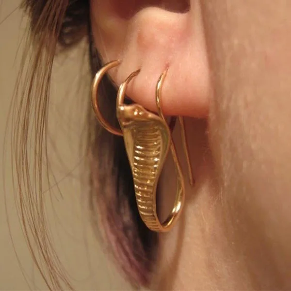 Personality Retro Cobra Earrings Fashion Men's and Women's Silver Color Earrings Trendy Men's and Women's Hip Hop Party Jewelry
Personality Retro Cobra Earrings Fashion Men's and Women's Silver Color Earrings Trendy Men's and Women's Hip Hop Party Jewelry