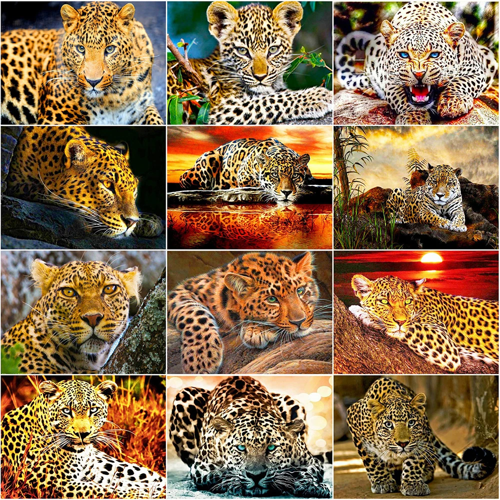 Evershine Full Square 5D DIY Diamond Painting Leopard Diamond Embroidery Cross Stitch Animals Rhinestone Mosaic Home Decor
Evershine Full Square 5D DIY Diamond Painting Leopard Diamond Embroidery Cross Stitch Animals Rhinestone Mosaic Home Decor