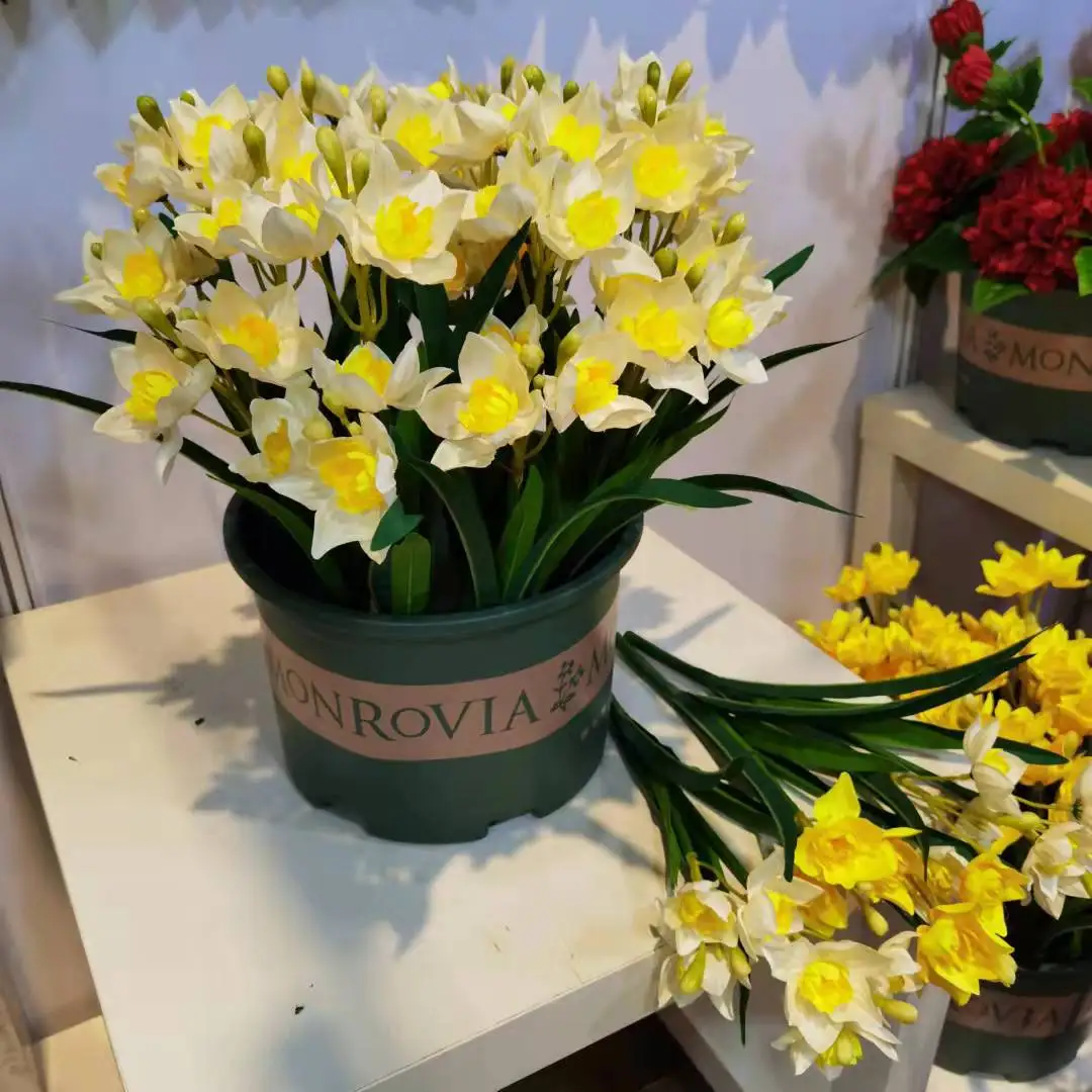 high qualityArtificial Flowers,2 headDaffodils,Single45Cm, Home Decoration,Wedding Scene Vase Flower Arrangement,Garden dress up
high qualityArtificial Flowers,2 headDaffodils,Single45Cm, Home Decoration,Wedding Scene Vase Flower Arrangement,Garden dress up