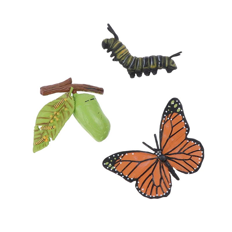 1PC Kids Cognitive Educational Toys Simulation Animal Insect Model Mini Animal Butterfly Growth Cycle Ornaments For Kids
1PC Kids Cognitive Educational Toys Simulation Animal Insect Model Mini Animal Butterfly Growth Cycle Ornaments For Kids
