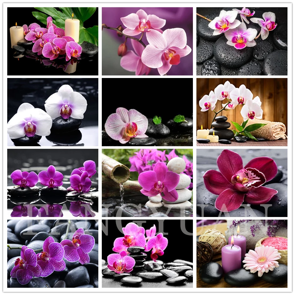 Full Square Round Drill Diamond Painting Orchid Stone Picture of Rhinestones Diamond Embroidery Flower Mosaic Home Decoration 
Full Square Round Drill Diamond Painting Orchid Stone Picture of Rhinestones Diamond Embroidery Flower Mosaic Home Decoration