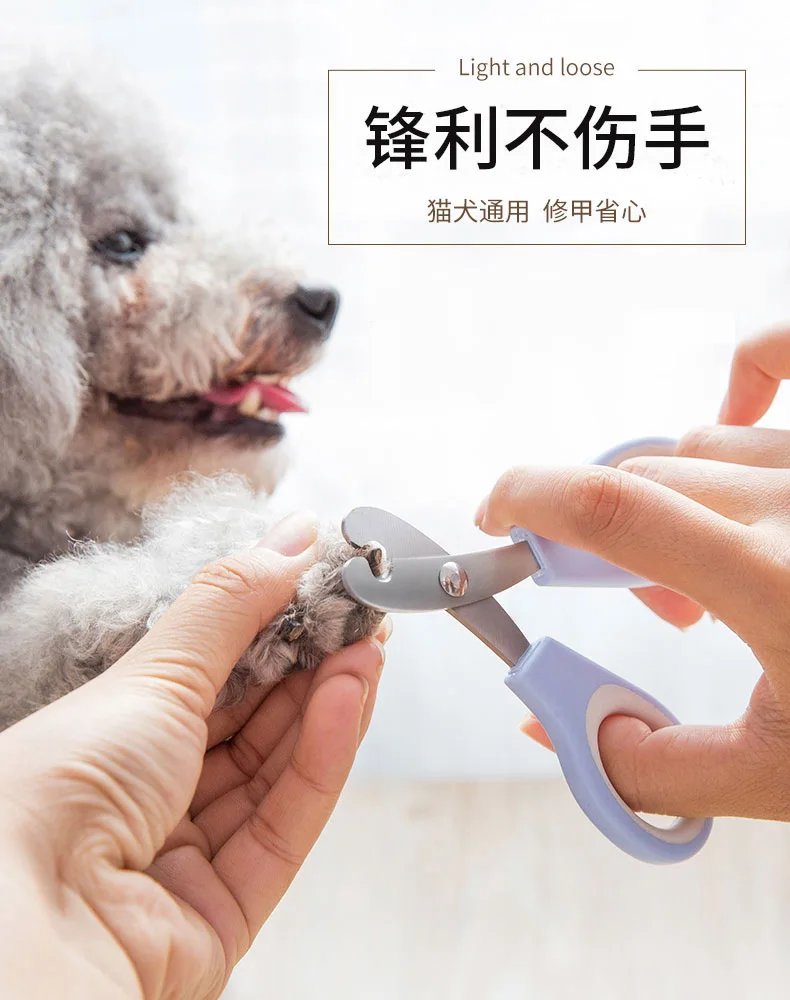 Cat Nail Claw Grooming Scissors for Dog Cat Bird Rabbit Ferret Small Animals Newest High Quality Pet Grooming Supplies OO50MR
Cat Nail Claw Grooming Scissors for Dog Cat Bird Rabbit Ferret Small Animals Newest High Quality Pet Grooming Supplies OO50MR