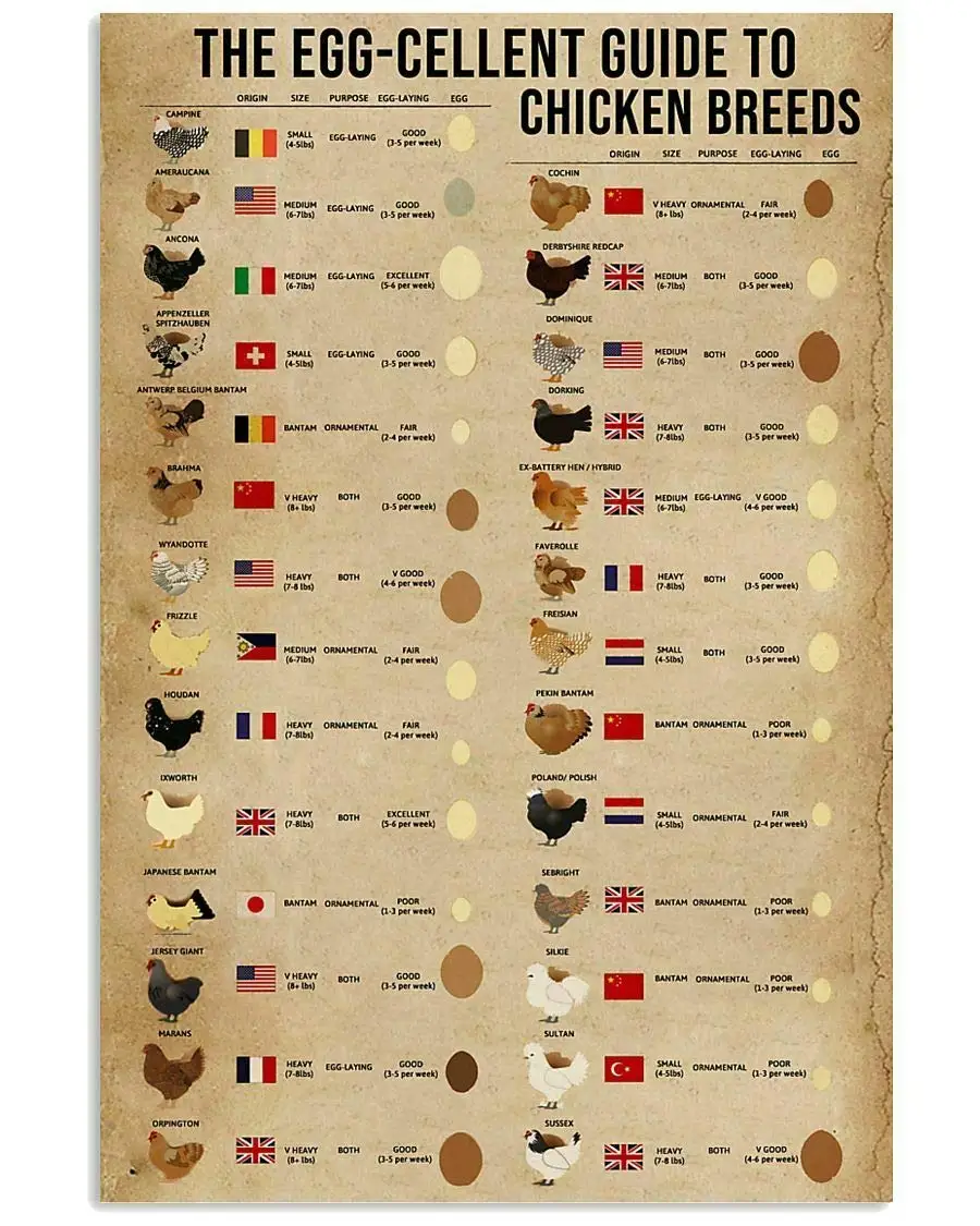 Chicken Breeds Egg Poster Egg Over The World for Farmer Bar Signs Metal Tin Sign Home Kitchen Diner Bar Pub and Man Cave 
Chicken Breeds Egg Poster Egg Over The World for Farmer Bar Signs Metal Tin Sign Home Kitchen Diner Bar Pub and Man Cave