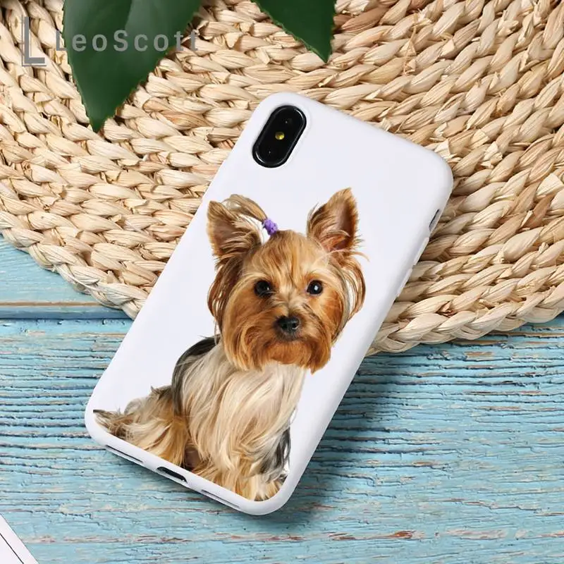 Yorkshire Terrier dog Phone Case Candy Color for iPhone 6 7 8 11 12 s mini pro X XS XR MAX Plus
Yorkshire Terrier dog Phone Case Candy Color for iPhone 6 7 8 11 12 s mini pro X XS XR MAX Plus
