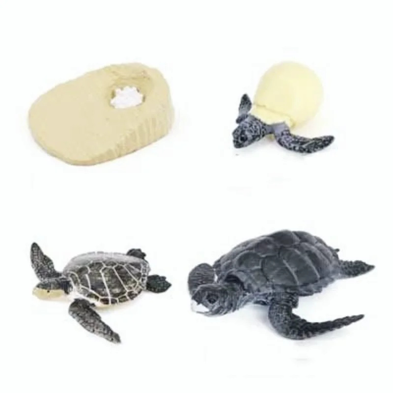 Simulation Marine Animal Model Children's Cognitive Science and Education Toy Set Turtle Tortoise Tortoise Growth Cycle
Simulation Marine Animal Model Children's Cognitive Science and Education Toy Set Turtle Tortoise Tortoise Growth Cycle