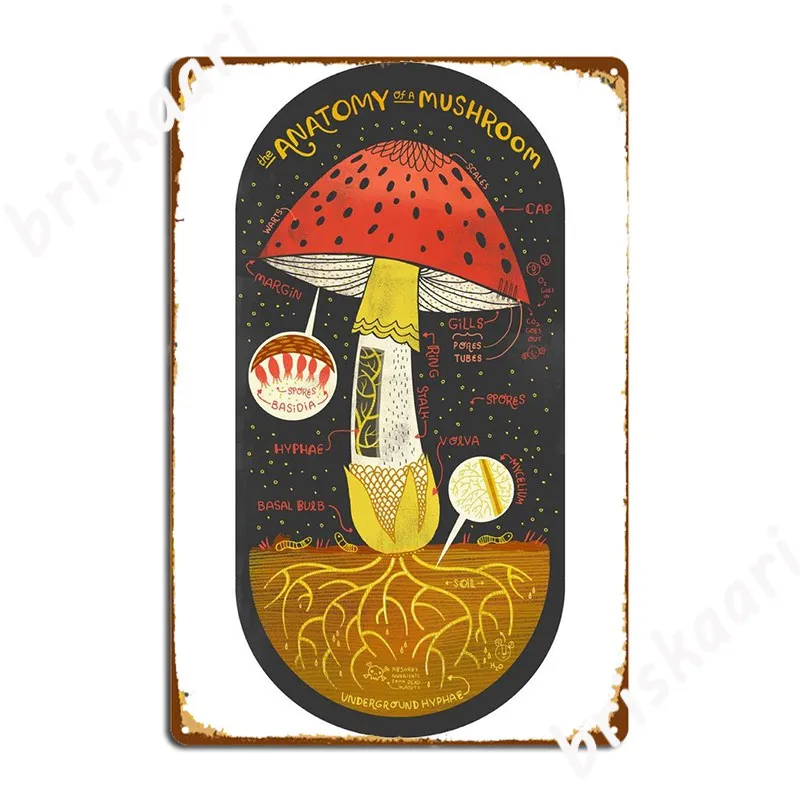 The Anatomy Of A Mushroom Art Print Metal Sign Club Bar Personalized Wall Pub Wall Decor Tin Sign Posters
The Anatomy Of A Mushroom Art Print Metal Sign Club Bar Personalized Wall Pub Wall Decor Tin Sign Posters