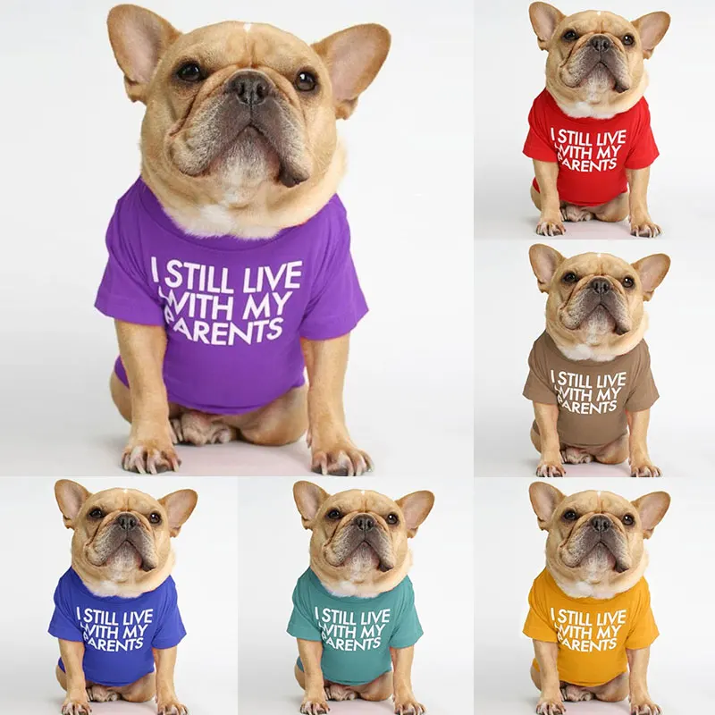 Big Size Letters Printed Summer Dog T-shirt Pure Cotton Dog Clothes For French Bulldog Soft Breathable Pet Costume 2021 Fashion
Big Size Letters Printed Summer Dog T-shirt Pure Cotton Dog Clothes For French Bulldog Soft Breathable Pet Costume 2021 Fashion