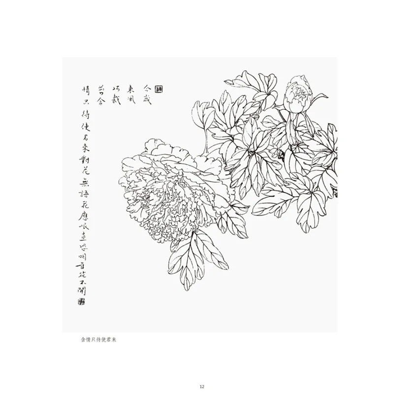 Traditional meticulous gong bi bai miao peony paintings drawing art book for Adults
Traditional meticulous gong bi bai miao peony paintings drawing art book for Adults