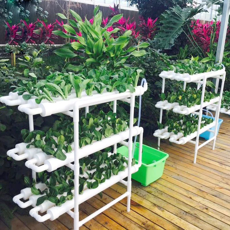 Indoor hydroponics office plants nutrients liquid home hydroponic greenhouse systems grow kit hydroponics
Indoor hydroponics office plants nutrients liquid home hydroponic greenhouse systems grow kit hydroponics