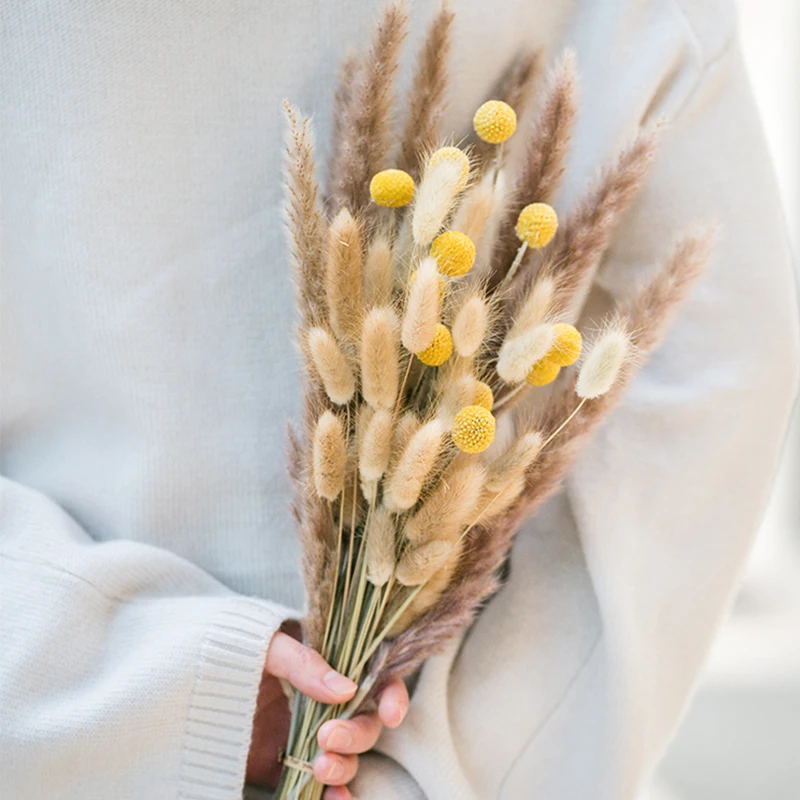 Natural Dried Flowers Pampas Grass Reed Wedding Marriage Decoration Real Dry Flower Home Living Room Rabbit Tail Grass Decor
Natural Dried Flowers Pampas Grass Reed Wedding Marriage Decoration Real Dry Flower Home Living Room Rabbit Tail Grass Decor
